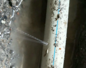 达州卫生间测漏水多少钱
