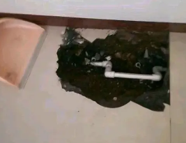 达州卫生间测漏水多少钱
